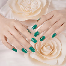 Load image into Gallery viewer, Bridger Premier Gel Nail Wrap