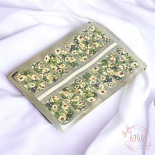 Load image into Gallery viewer, Janus Nail Wrap