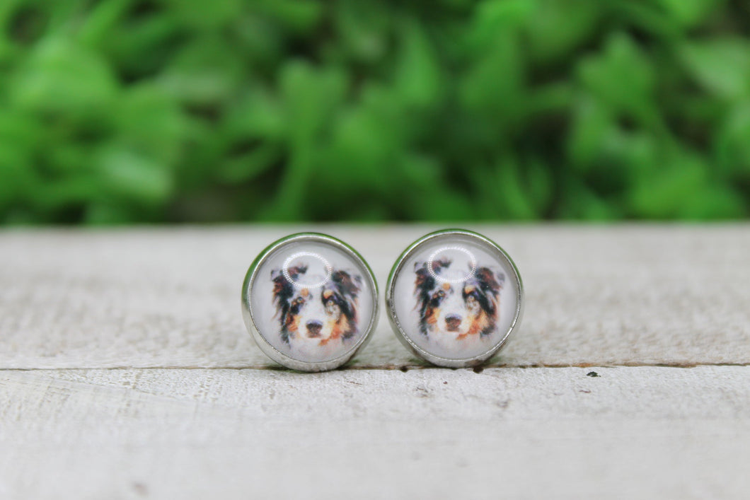 Border Collie Earrings